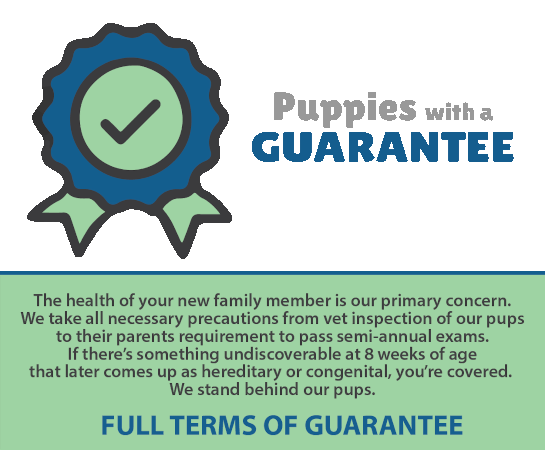 Lone Star Pups Guarantee