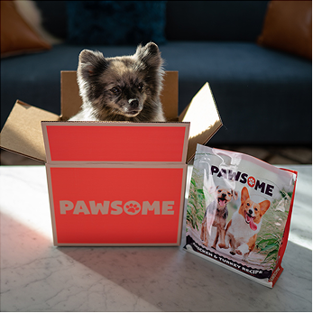 Pawsome Pet Food dog in a box