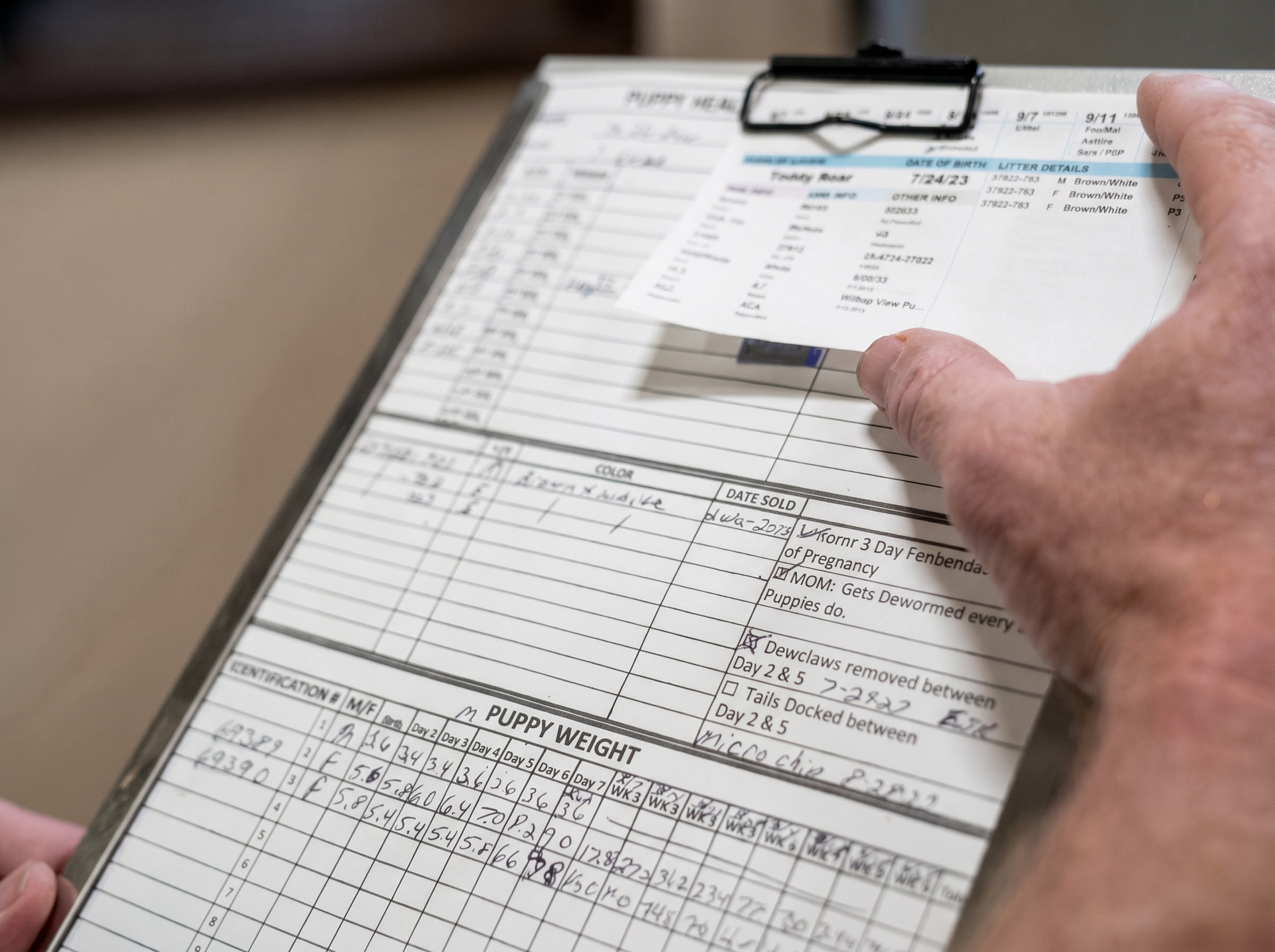 Structured documentation and development tracking for each Lone Star Pups litter