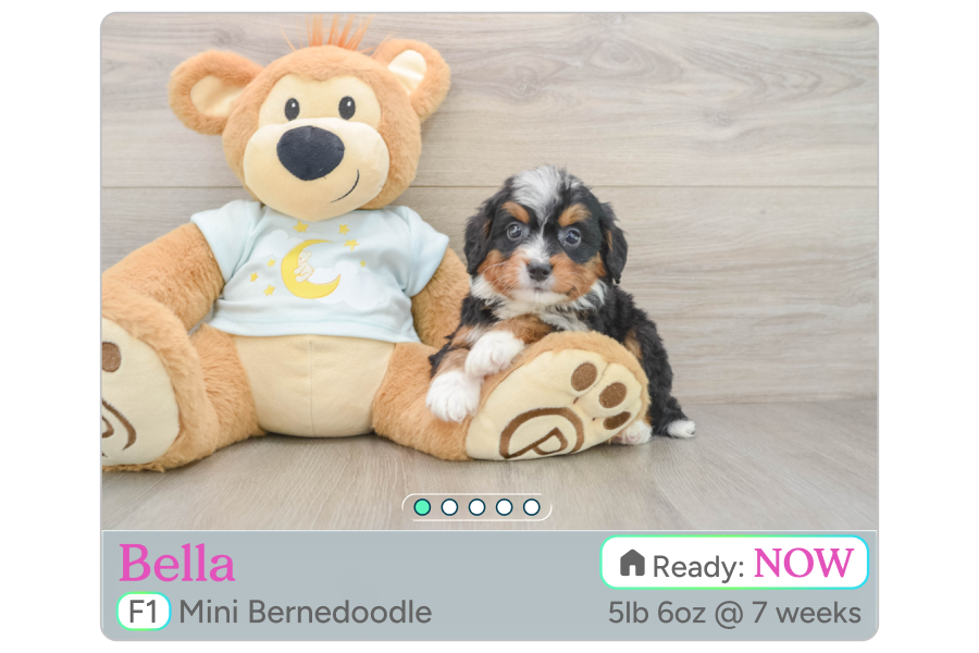 Reserving a puppy through Lone Star Pups checkout