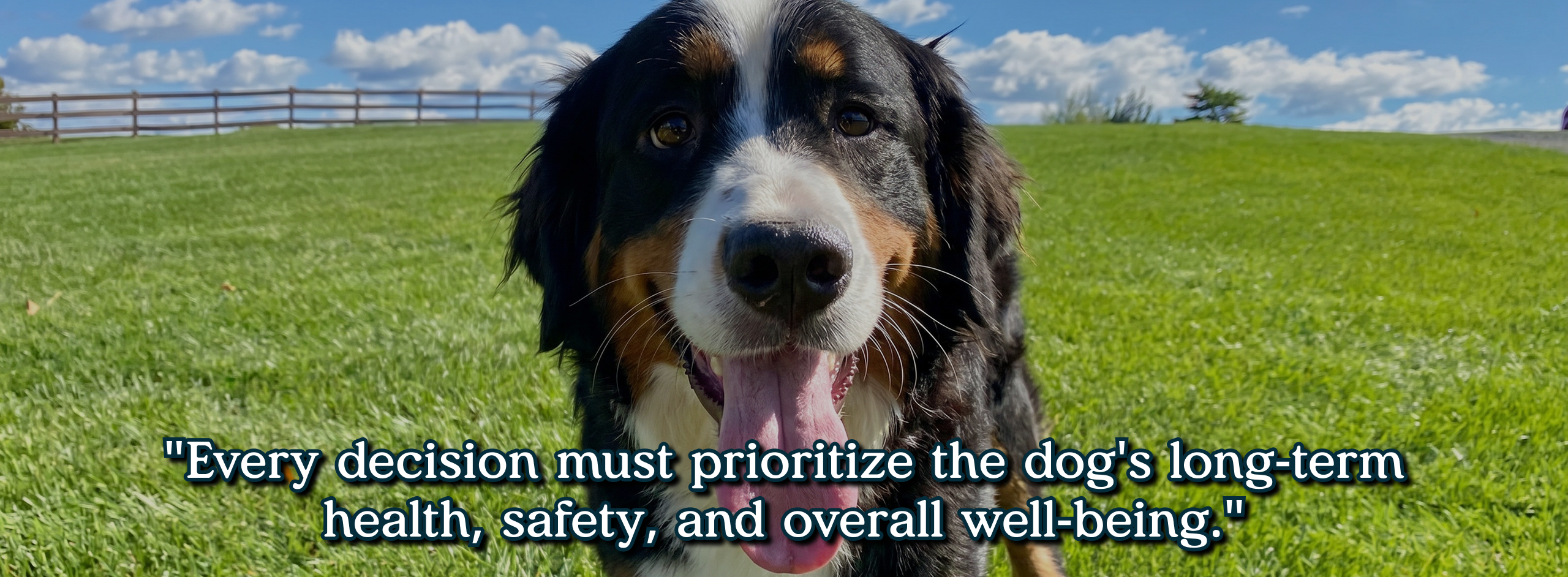 Every decision must prioritize the dog's long-term health, safety, and overall well-being.
