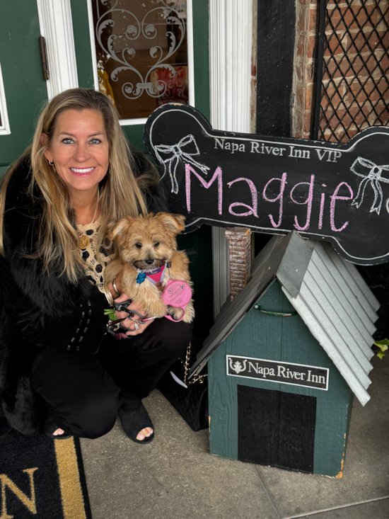 Morkie