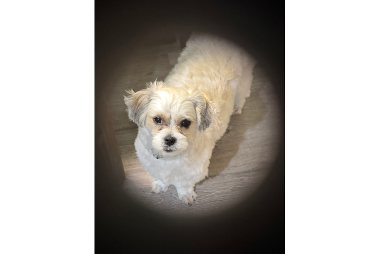 Cute Teddy Bear Baby