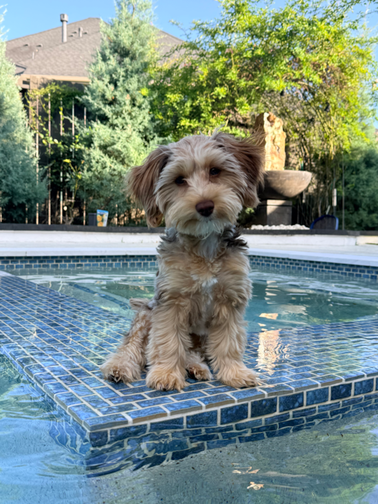 Maggie 