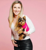 Cute Yorkie Purebred Pup Cute Yorkie Purebred Pup