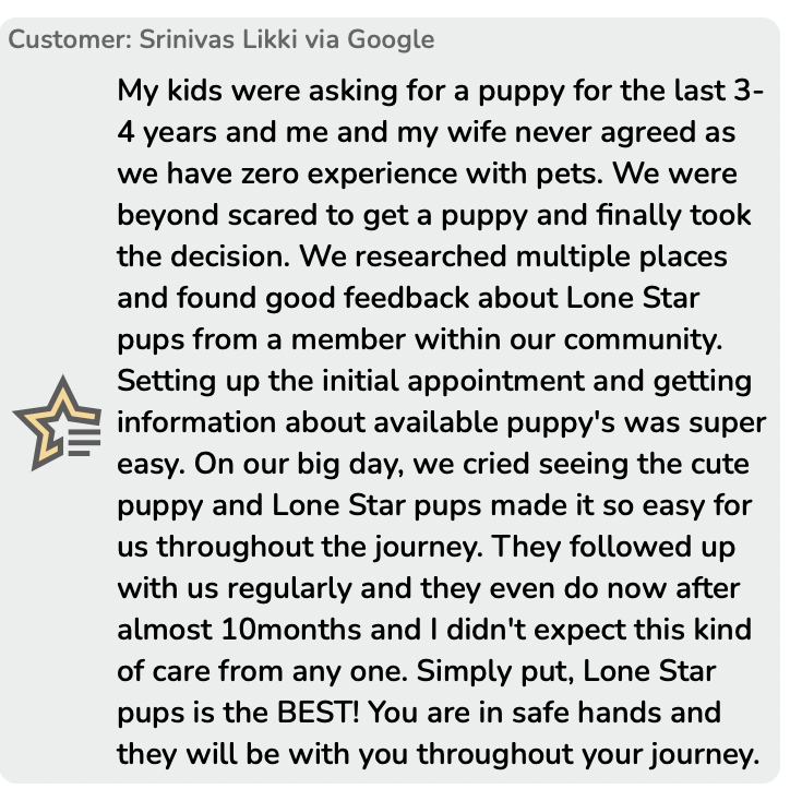 lone star pups customer review on google