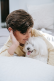Maltese Being Cute Maltese Being Cute