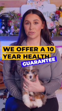 Lone Star Pups Let’s talk about the kind of promise that actually means something.