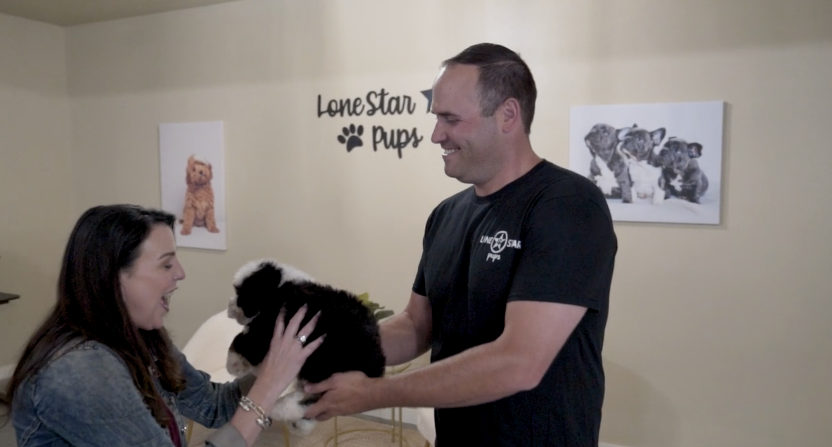 lone star pups employee handing a bernedoodle puppy to a customer