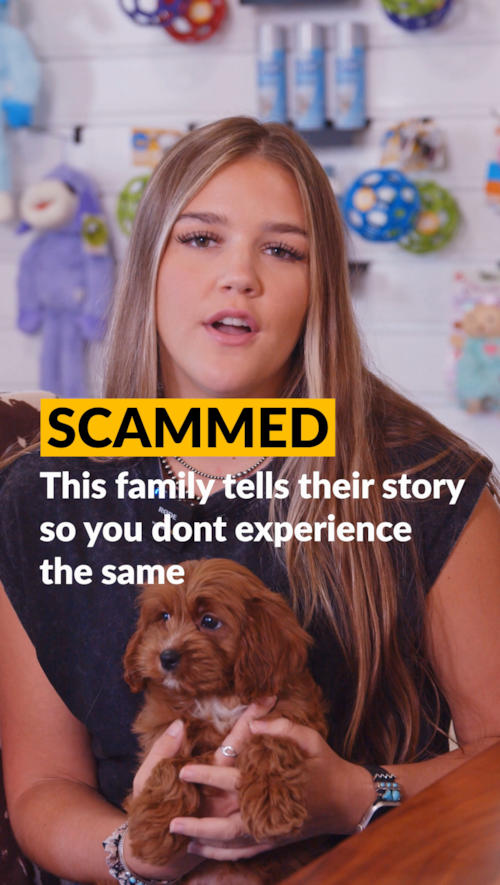 Lone Star Pups This family had an awful experience until they came to Lonestar Pups Trending Video