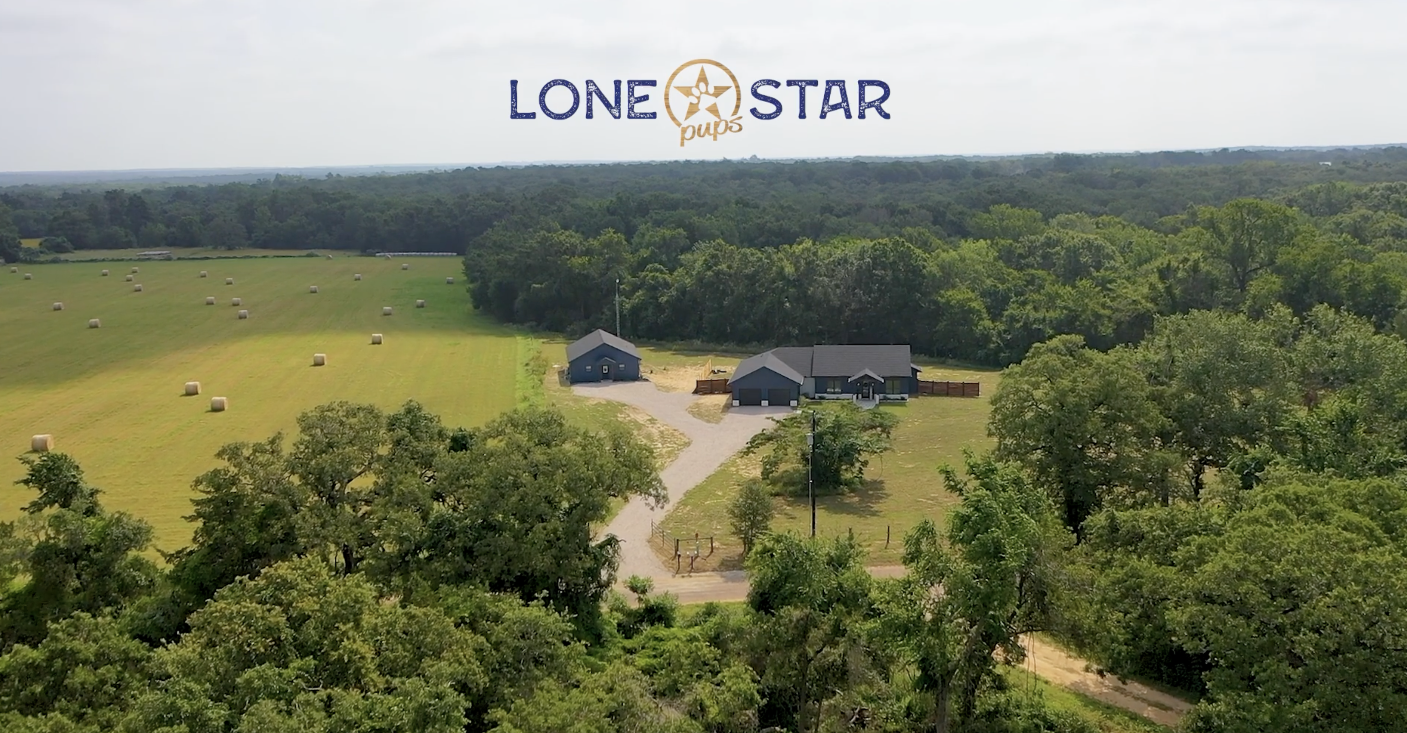 lone star pups home and surroundings