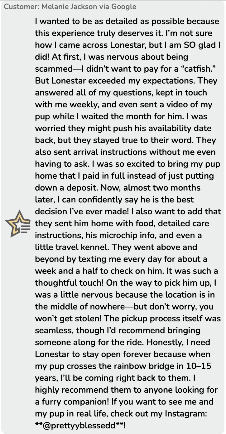 lone star pups google customer review