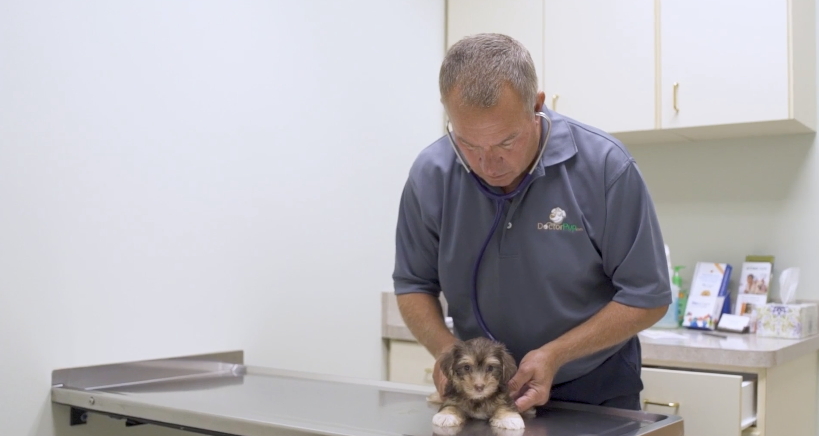 lone star pups vet inspecting a small puppy