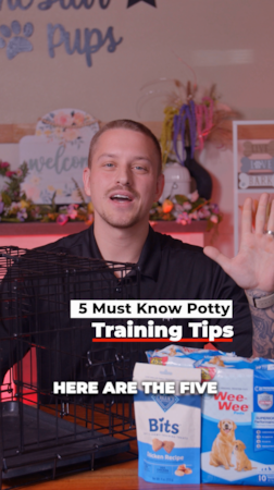 Lone Star Pups Potty training your puppy doesn’t have to be a mess! Here are 5 quick tips to make the process smoother