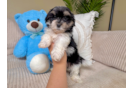 Best Teddy Bear Baby