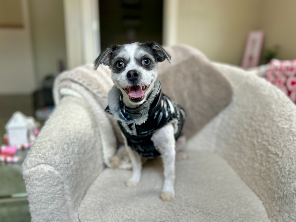 Cute Teddy Bear Baby