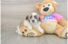 Best Teddy Bear Baby