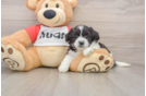 Cute Teddy Bear Baby