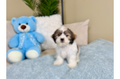 Best Teddy Bear Baby