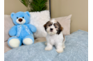 Best Teddy Bear Baby