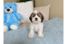 Cute Teddy Bear Baby