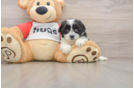 Best Teddy Bear Baby
