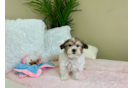 Cute Teddy Bear Baby