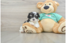 Cute Teddy Bear Baby