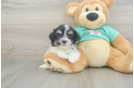 Sweet Teddy Bear Baby