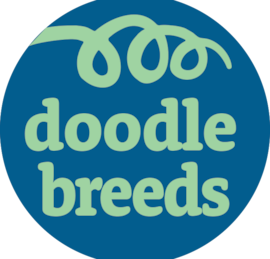 Doodle Breeds Puppies For Sale - Lone Star Pups