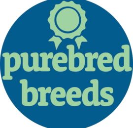 Purebred Breeds Puppies For Sale - Lone Star Pups