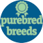 Purebred Breeds Puppy For Sale - Lone Star Pups
