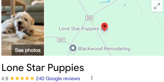 What Real Families Say About Lone Star Pups: A Closer Look at Customer Stories 