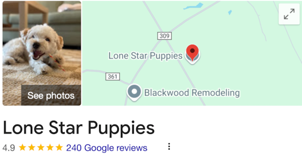 What Real Families Say About Lone Star Pups: Verified Adoptions